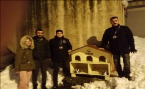 Üsküdar Belediyesi, yıkılan kedi evi yerine özel kedi evleri yerleştirdi