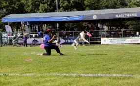 KÖPEK SAHİBİYSENİZ BU SPORU MUTLAKA DENEYİN