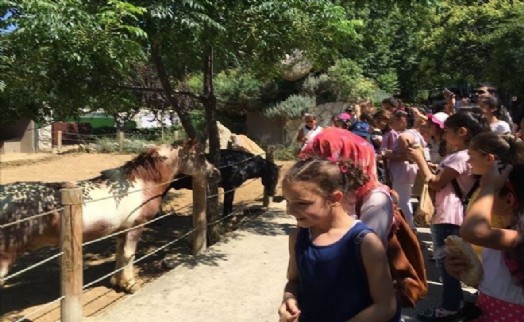 Yaz Dönemi Hediyesi Darıca Hayvanat Bahçesi