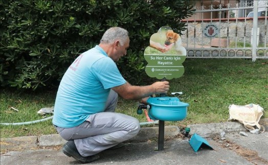 Ümraniye Belediyesi Sokak Hayvanları İçin Otomatik Suluklar Yaptırdı