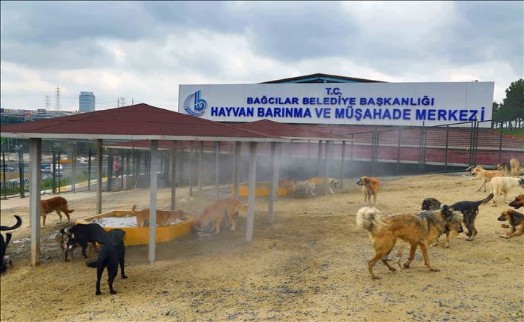 Bağcılar´da Sokak Hayvanları Soğuk Buharla Serinletiliyor