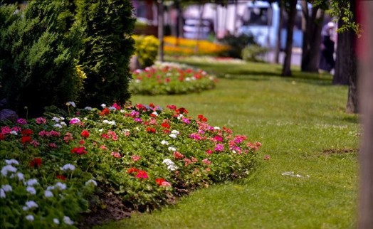 Maltepe Çiçeklerle Bezendi