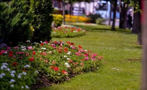 Maltepe Çiçeklerle Bezendi