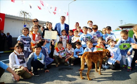 BEYLİKDÜZÜ´NDE ÜCRETSİZ KUDUZ AŞISI KAMPANYASI BAŞLIYOR