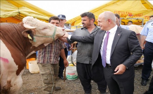 Büyükçekmece Kurban Bayramına Hazır