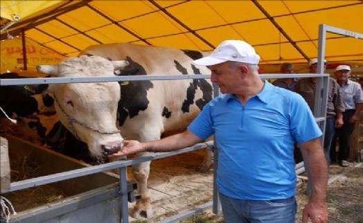 Başkan Akgün: 'Kurban Bayramı İçin Tüm Tedbirlerimizi Aldık'