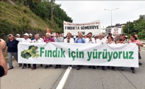 BAŞKAN HAZİNEDAR ?FINDIK İÇİN ADALET´ YÜRÜYÜŞÜNE KATILDI!