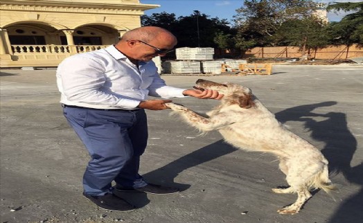 Başkan Akgün: 'Bakamayacaksanız Sahiplenmeyin!'