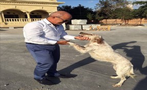 Başkan Akgün: 'Bakamayacaksanız Sahiplenmeyin!'