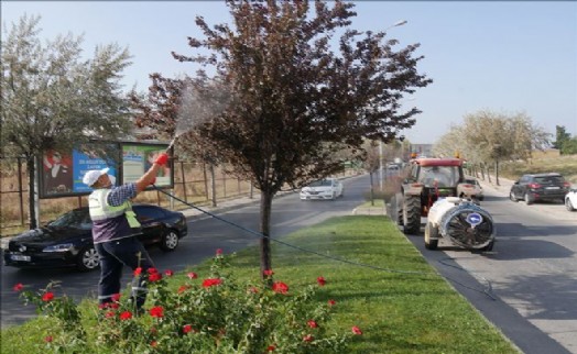 Büyükçekmece´nin Yeşil Alanları Sonbahara Hazırlanıyor