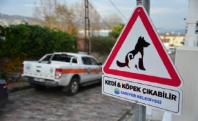 SARIYER'E 'KEDİ VE KÖPEK ÇIKABİLİR' TABELALARI YERLEŞTİRİLDİ