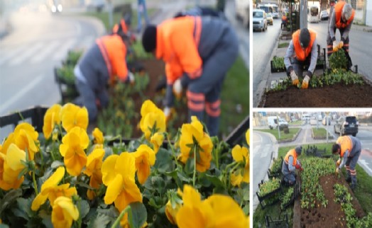 GAZİOSMANPAŞA’DA BİNLERCE ÇİÇEK TOPRAKLA BULUŞTU