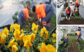 GAZİOSMANPAŞA’DA BİNLERCE ÇİÇEK TOPRAKLA BULUŞTU