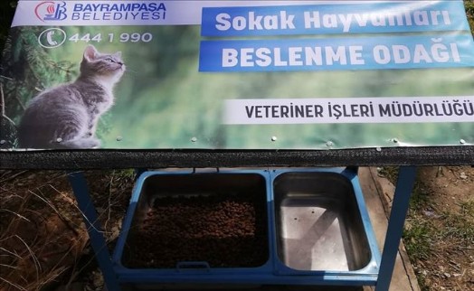 BAYRAMPAŞA´DA SOKAK HAYVANLARI İÇİN BESLENME NOKTALARI OLUŞTURULDU