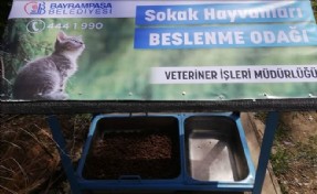 BAYRAMPAŞA´DA SOKAK HAYVANLARI İÇİN BESLENME NOKTALARI OLUŞTURULDU