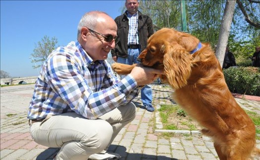 BÜYÜKÇEKMECE´DE KEDİ VE KÖPEKLERE ÇOK ÖZEL PARK