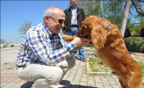 BÜYÜKÇEKMECE´DE KEDİ VE KÖPEKLERE ÇOK ÖZEL PARK