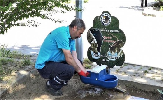 KARTAL BELEDİYESİ SOKAK HAYVANLARINI UNUTMADI