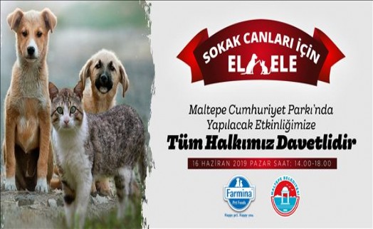 MALTEPELİLER SOKAK HAYVANLARI İÇİN BULUŞACAK