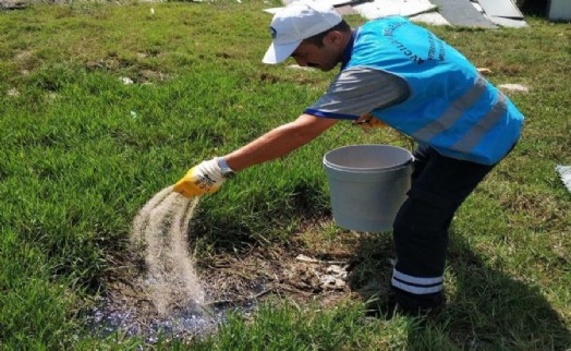 AVCILAR BELEDİYESİ’NDEN ‘BATI NİL VİRÜSÜ’ İÇİN YOĞUN ÖNLEM