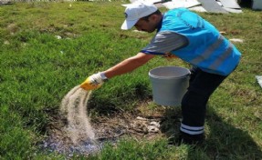 AVCILAR BELEDİYESİ’NDEN ‘BATI NİL VİRÜSÜ’ İÇİN YOĞUN ÖNLEM