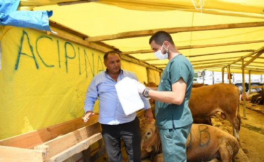 ESENYURT BELEDİYESİ’NDEN KURBANLIKLARA SIKI KONTROL