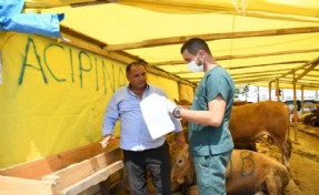 ESENYURT BELEDİYESİ’NDEN KURBANLIKLARA SIKI KONTROL