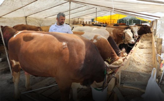 ZEYTİNBURNU’NDA KURBAN SATIŞLARI BAŞLADI