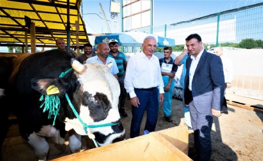 ÜMRANİYE KURBAN BAYRAMI’NA HAZIR