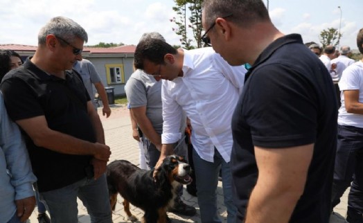 İMAMOĞLU’NDAN 'SOKAK CANLILARI' TALİMATI