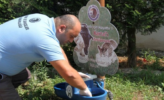 KARTAL’DA PARK BAKIM ÇALIŞMALARI DEVAM EDİYOR