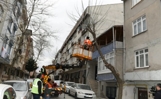 ESENYURT’TA AĞAÇLAR BUDANIYOR