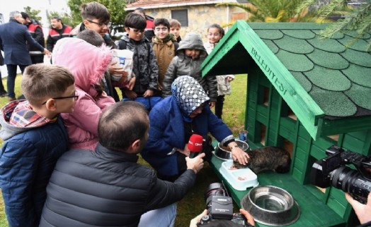 SANCAKTEPE’DE KEDİLER SICAK YUVALARINA KAVUŞTU