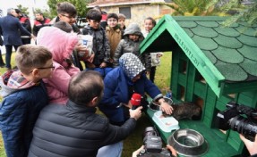 SANCAKTEPE’DE KEDİLER SICAK YUVALARINA KAVUŞTU