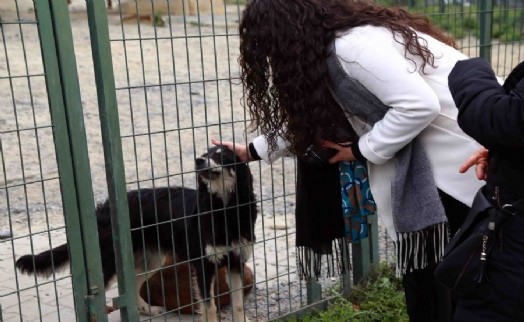 BAĞCILAR’DA ÇOCUKLAR SOKAK HAYVANLARI İÇİN MAMA ALDI