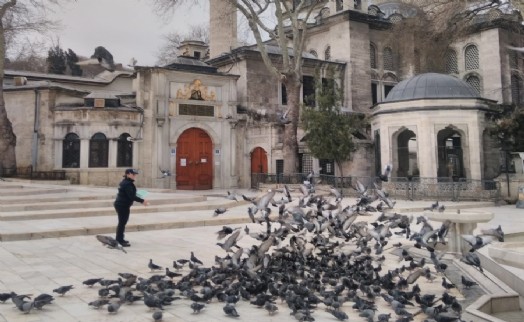 EYÜPSULTAN GÜVERCİNLERİNİN RIZKI ANTALYA’DAN GELDİ