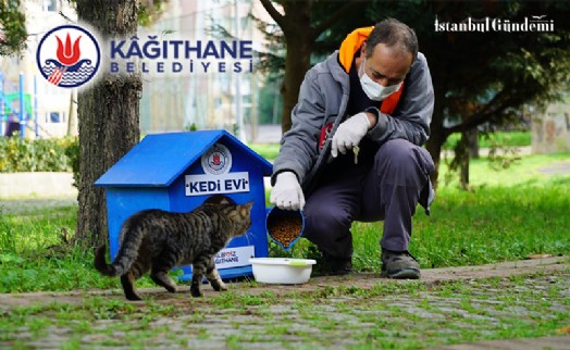 KAĞITHANE’DE CAN DOSTLAR EMİN ELLERDE