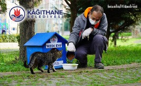 KAĞITHANE’DE CAN DOSTLAR EMİN ELLERDE