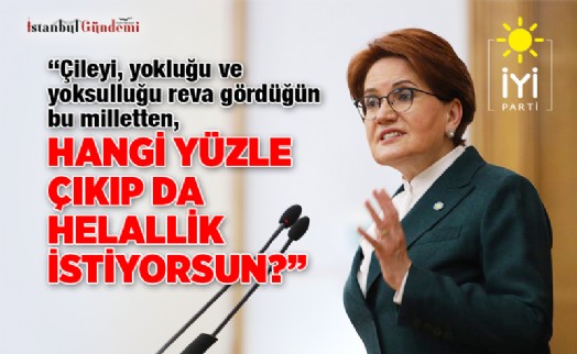 MERAL AKŞENER’DEN, CUMHURBAŞKANI ERDOĞAN’A ‘HELALLİK’ SALVOSU! 