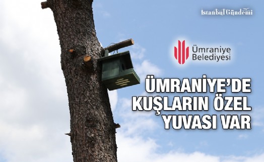 ÜMRANİYE’DE KUŞLAR YUVASIZ KALMIYOR