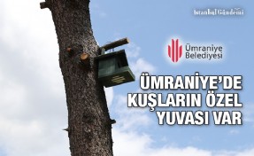 ÜMRANİYE’DE KUŞLAR YUVASIZ KALMIYOR