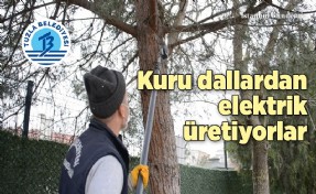 TUZLA BELEDİYESİ, MAHALLELERDEN TOPLADIĞI ATIK DALLARI ELEKTRİĞE ÇEVİRİYOR