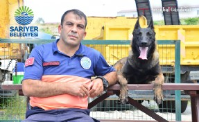 SARIYER’İN ARAMA KURTARMA KÖPEĞİ ŞİLAN AFETLERE HAZIRLANIYOR