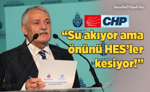 NİZAMETTİN GÜNEL: ‘HES’LER DOĞAYI KATLEDİYOR’