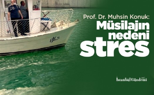 Prof. Dr. Muhsin Konuk: Müsilajın nedeni stres