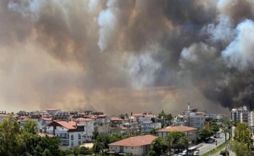 Başkan Çağırıcı’dan Manavgat’a 20 bin adet fidan bağışı!