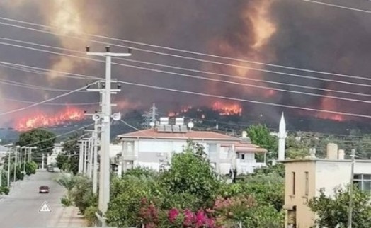 AK Partili belediyelerden fidan bağışı kampanyası