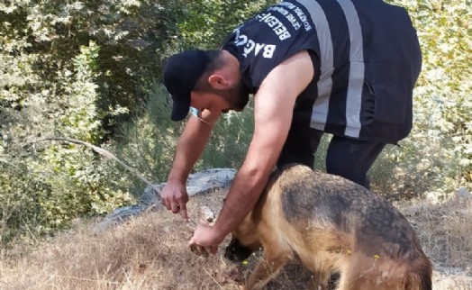 Yangını söndürürken yemeğini köpekle paylaştı