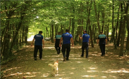 Çekmeköy’de orman denetimleri artırıldı