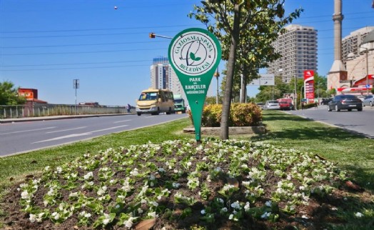 Gaziosmanpaşa’da yeşil alanlar artıyor